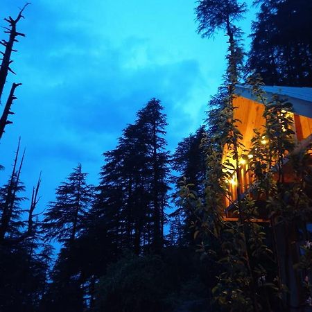 Deep In Woods Jibhi Exterior foto